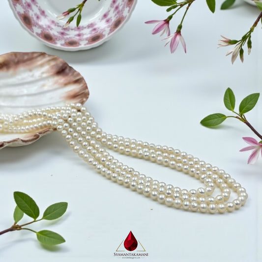 Natural Freshwater Pearl 5mm Round in 999 Silver Classy Necklace 3 Line With Certificate