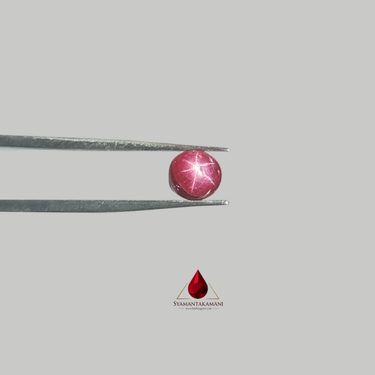 Star Ruby Round 2.40 Carats (6 Ray Asterism)