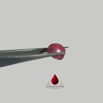 Star Ruby Round 2.40 Carats (6 Ray Asterism)