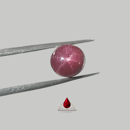 Star Ruby Round 3.85 Carats (6 Ray Asterism)