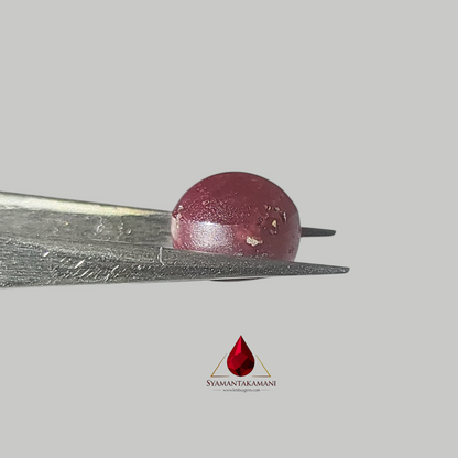 Star Ruby Round 3.85 Carats (6 Ray Asterism)