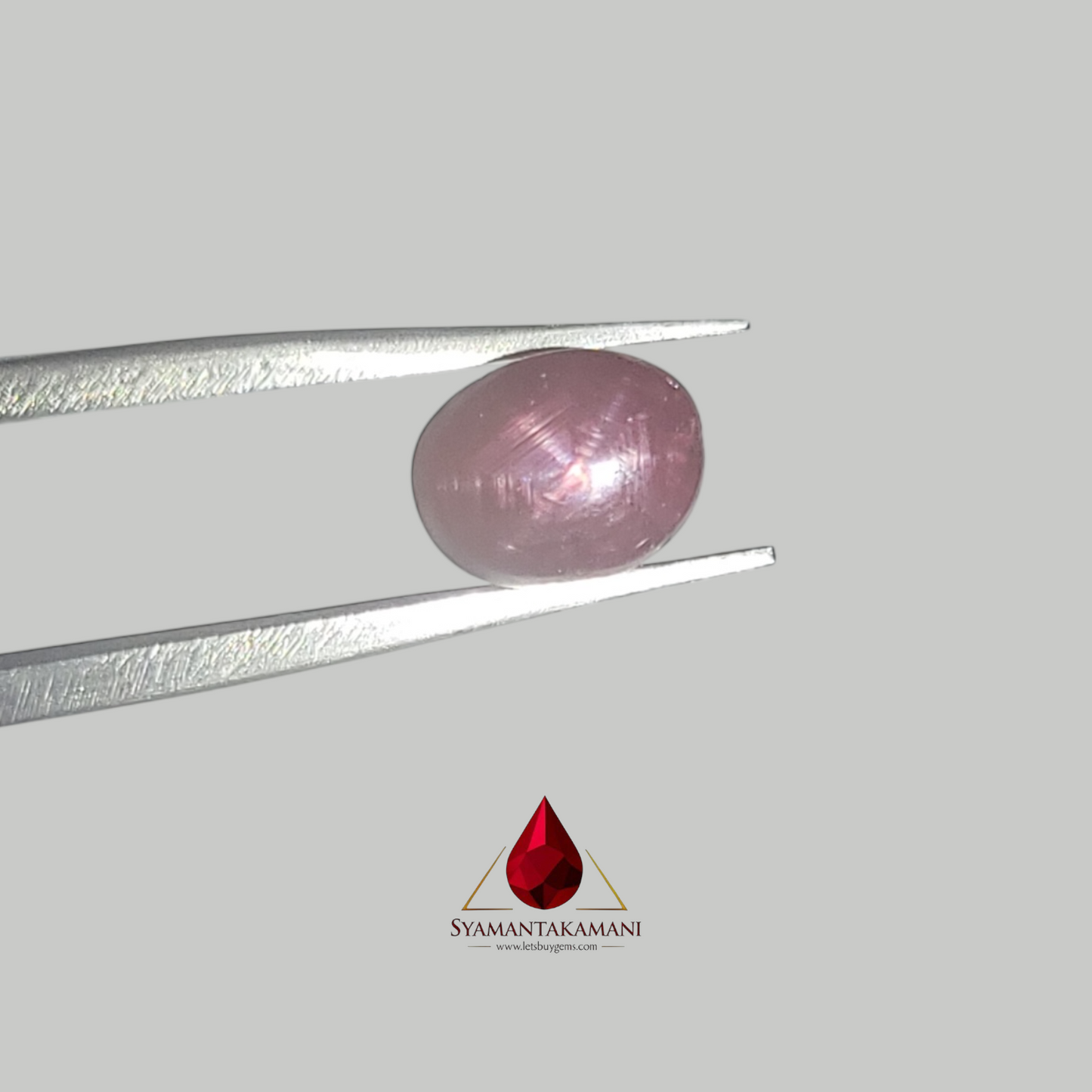 Star Ruby Oval 3.90 Carats (6 Ray Asterism)