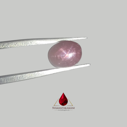 Star Ruby Oval 3.90 Carats (6 Ray Asterism)