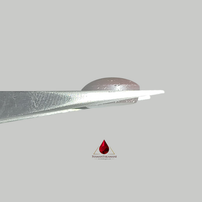 Star Ruby Oval 4.45 Carats (6 Ray Asterism)