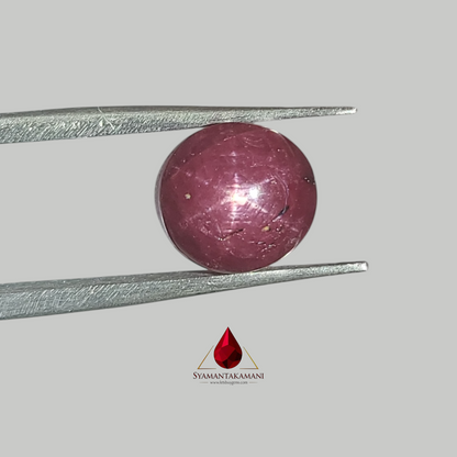 Star Ruby Round 5.95 Carats (6 Ray Asterism)