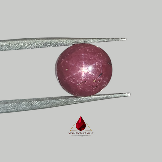 Star Ruby Round 5.95 Carats (6 Ray Asterism)