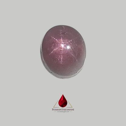 Star Ruby Oval 6.50 Carats (6 Ray Asterism)