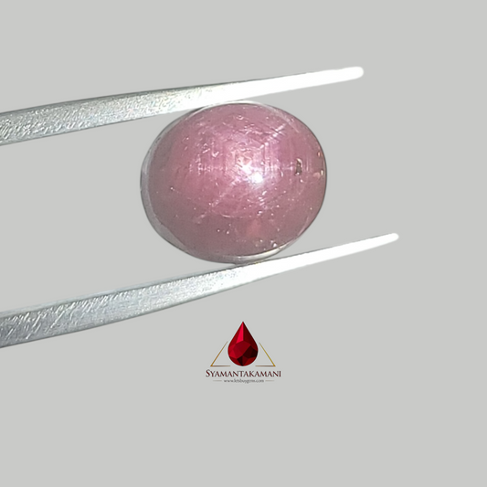 Star Ruby Oval 6.50 Carats (6 Ray Asterism)