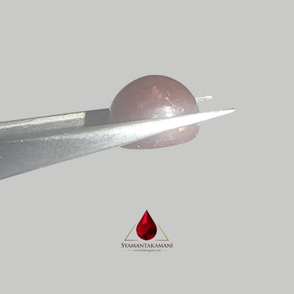 Star Ruby Oval 6.50 Carats (6 Ray Asterism)