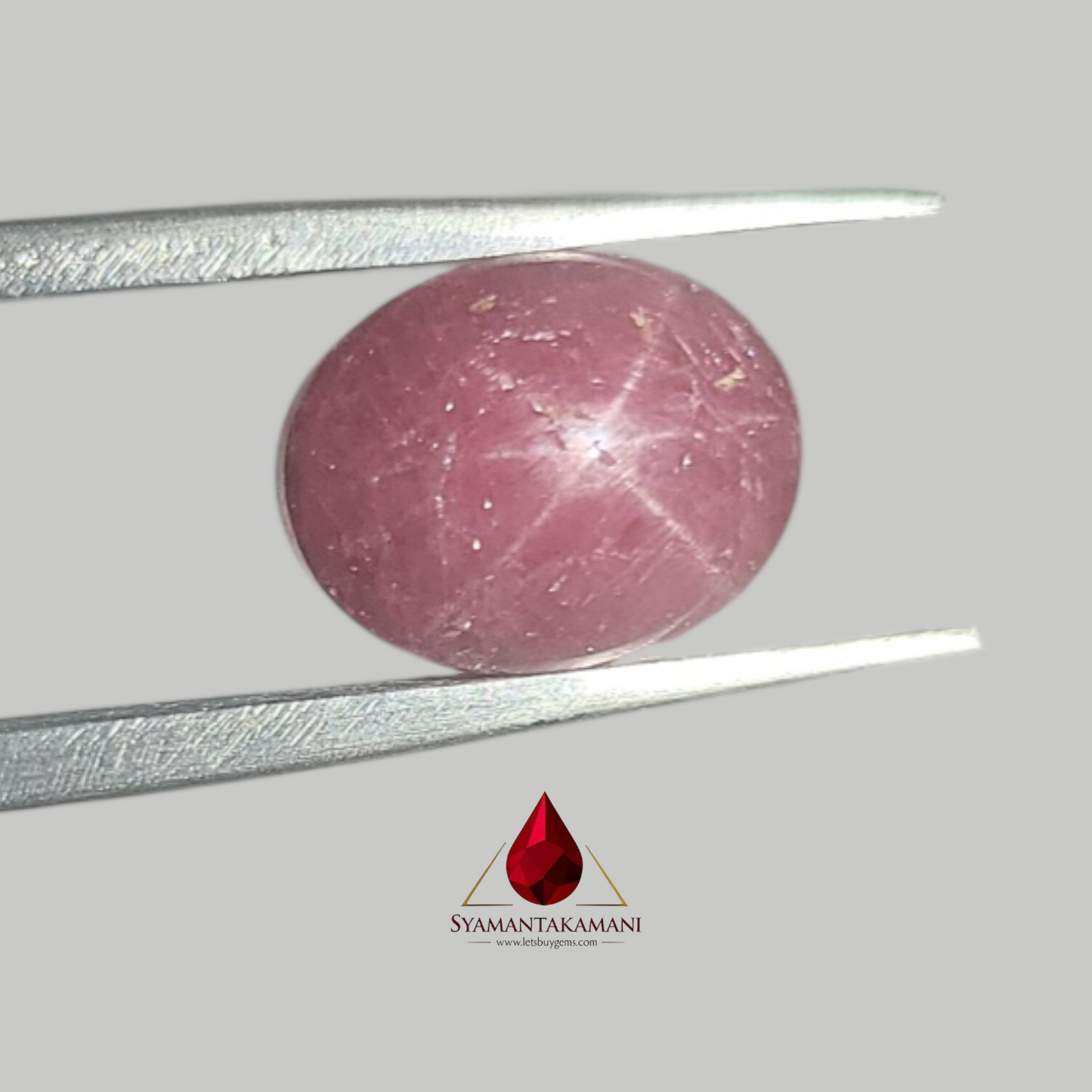 Star Ruby Oval 6.65 Carats (6 Ray Asterism)