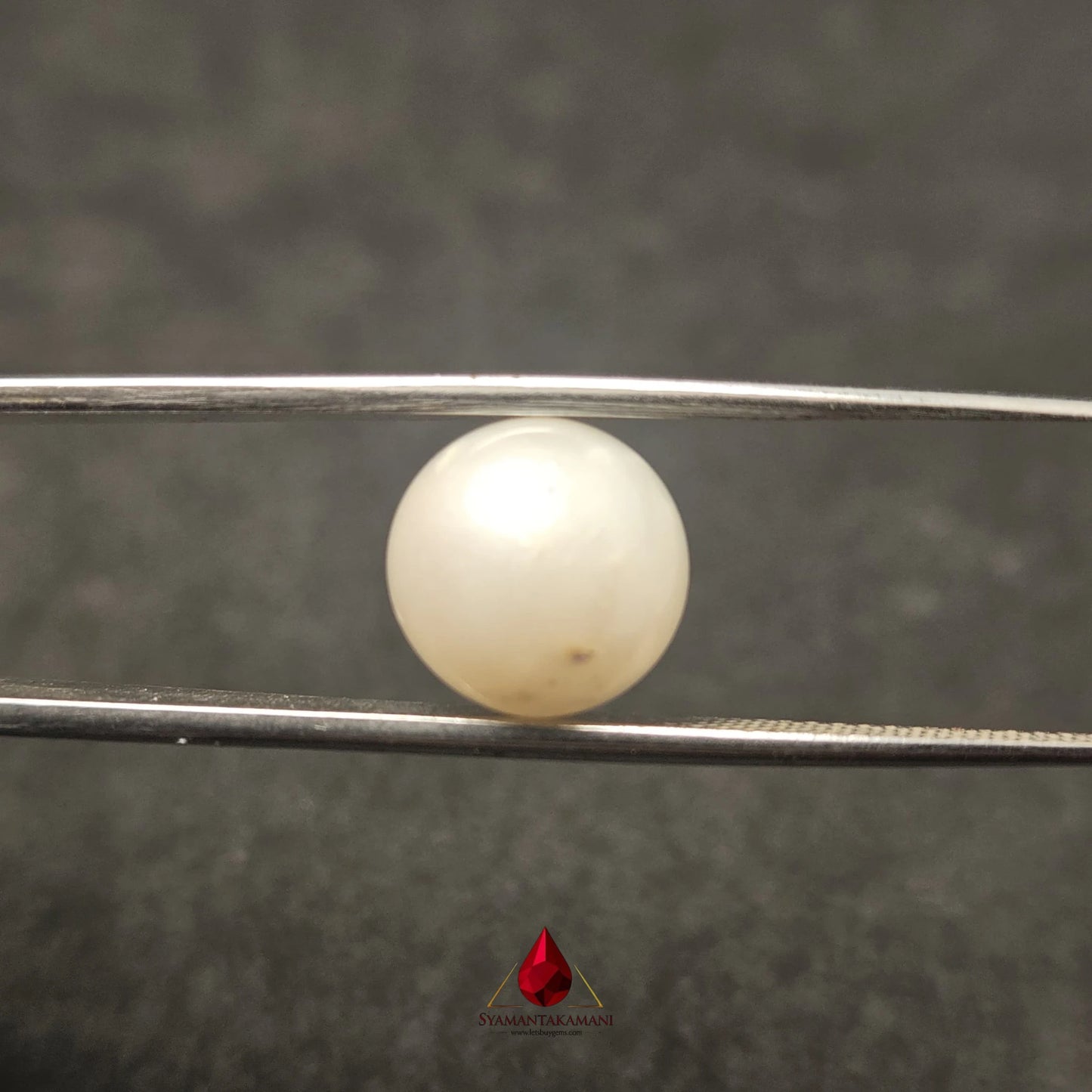 Natural South Sea Pearl Cultured 7.65 Carats Untreated AA Quality The Golden Aura