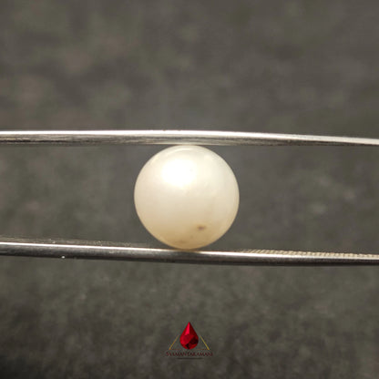 Natural South Sea Pearl Cultured 7.65 Carats Untreated AA Quality The Golden Aura