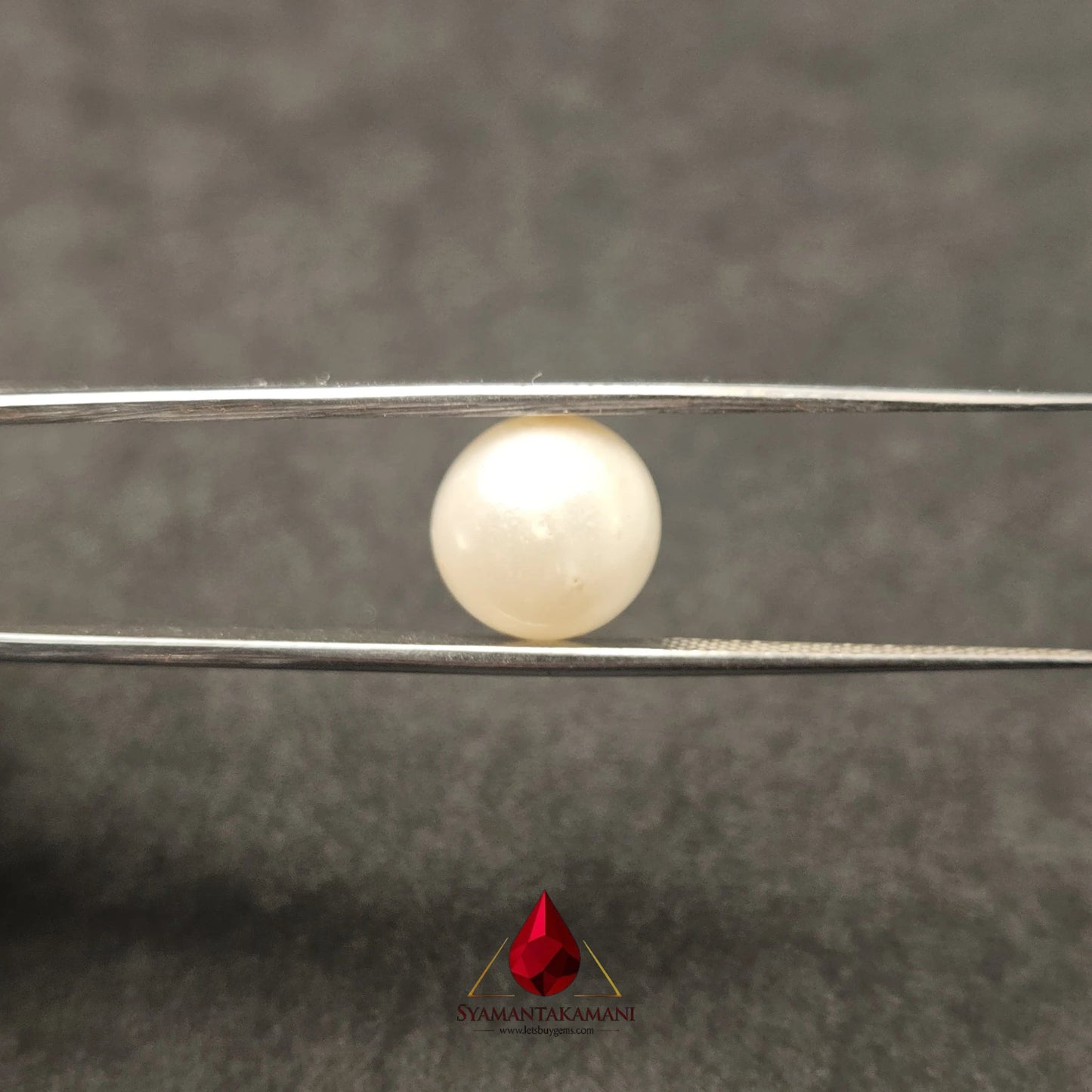 Natural South Sea Pearl Cultured 7.65 Carats Untreated AA Quality The Golden Aura