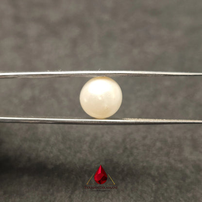 Natural South Sea Pearl Cultured 7.65 Carats Untreated AA Quality The Golden Aura