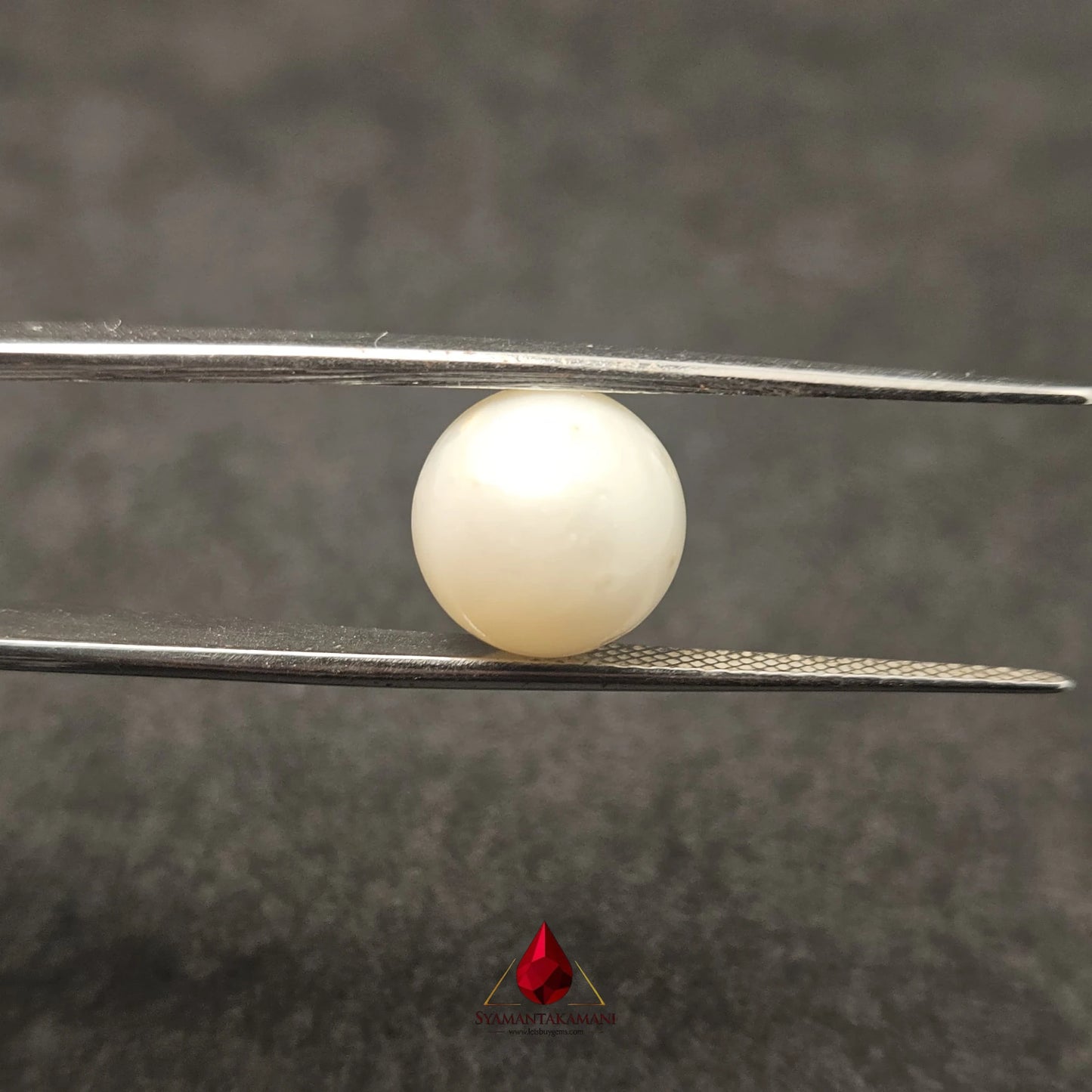 Natural South Sea Pearl Cultured 6.80 Carats Untreated AA Quality The Celestial Glow