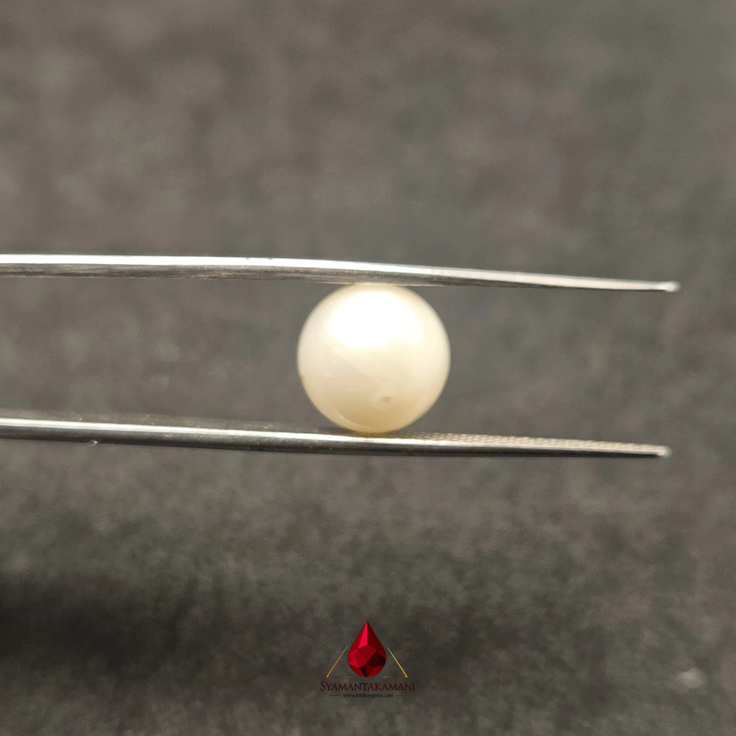 Natural South Sea Pearl Cultured 6.80 Carats Untreated AA Quality The Celestial Glow