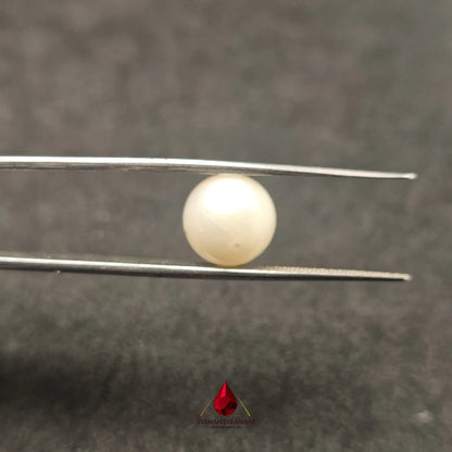 Natural South Sea Pearl Cultured 6.80 Carats Untreated AA Quality The Celestial Glow