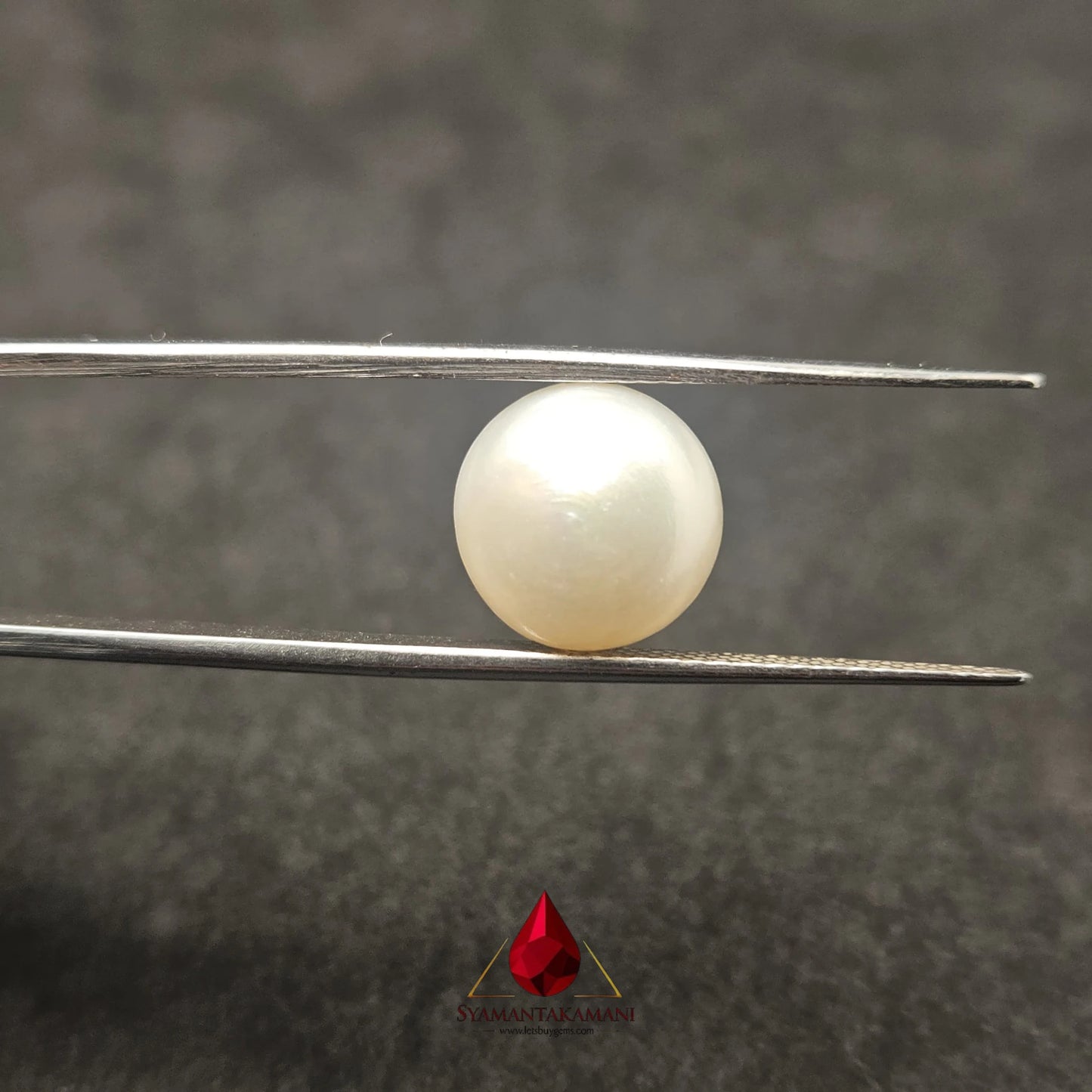 Natural Freshwater Pearl Cultured 5.65 Carats Untreated AA Quality The Lunar Disk