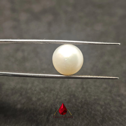 Natural Freshwater Pearl Cultured 5.65 Carats Untreated AA Quality The Lunar Disk