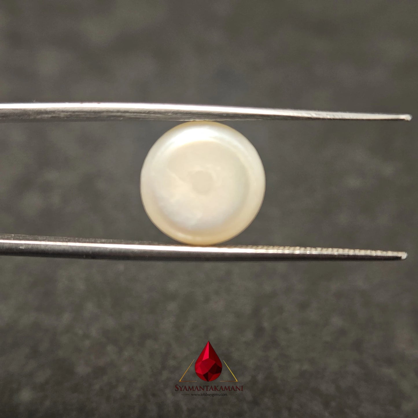 Natural Freshwater Pearl Cultured 5.65 Carats Untreated AA Quality The Lunar Disk