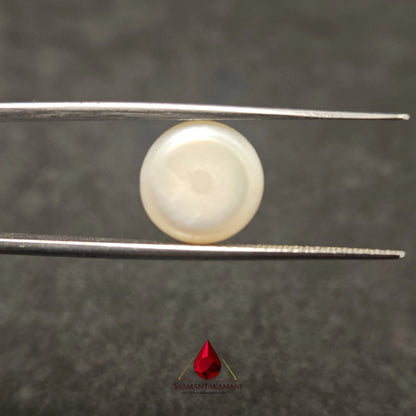 Natural Freshwater Pearl Cultured 5.65 Carats Untreated AA Quality The Lunar Disk