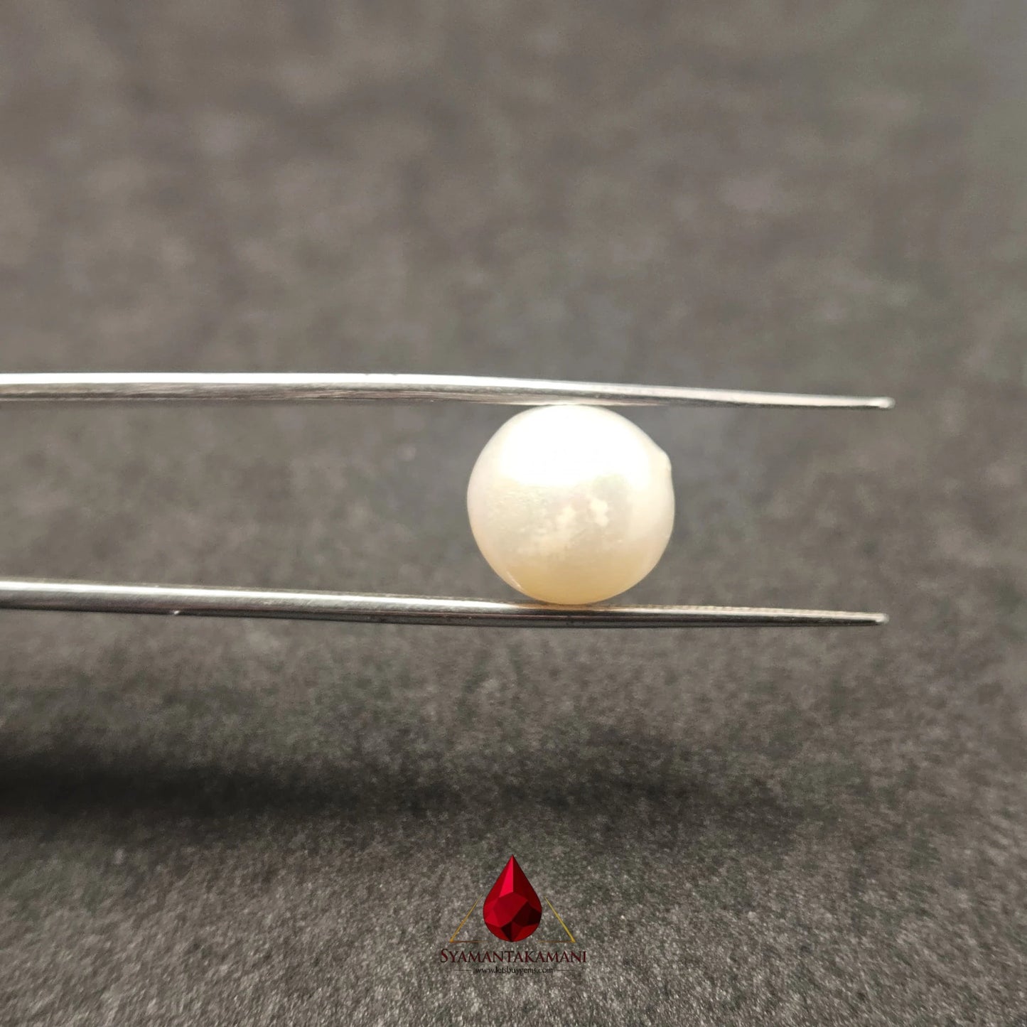 Natural Freshwater Pearl Cultured 7.30 Carats Untreated AA Quality The Imperial Dome