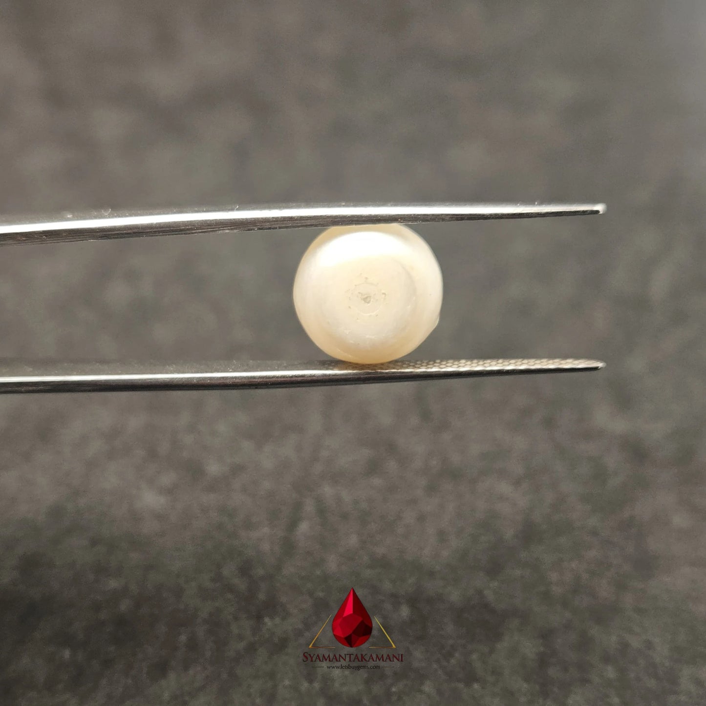Natural Freshwater Pearl Cultured 7.30 Carats Untreated AA Quality The Imperial Dome