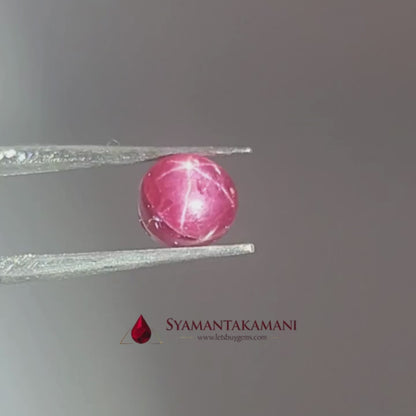 Star Ruby Round 2.40 Carats (6 Ray Asterism)