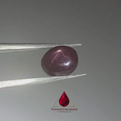 Star Ruby Oval 3.90 Carats (6 Ray Asterism)