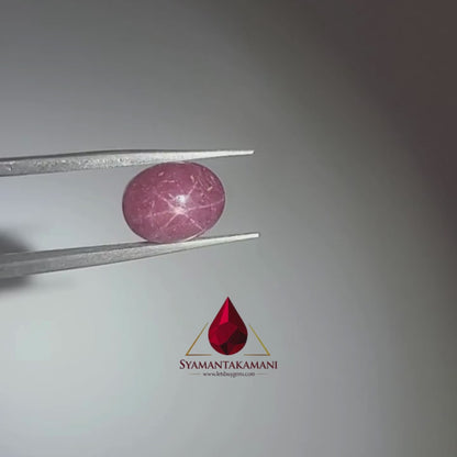Star Ruby Oval 6.65 Carats (6 Ray Asterism)