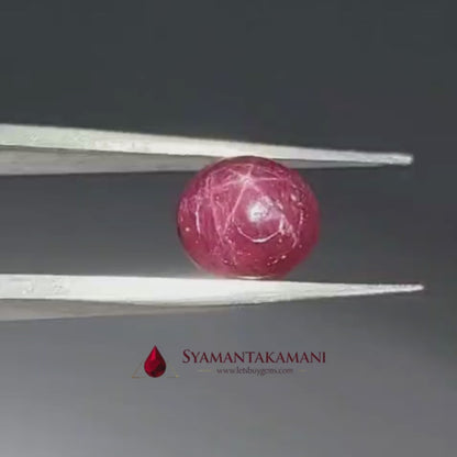 Star Ruby Round 3.50 Carats (6 Ray Asterism)