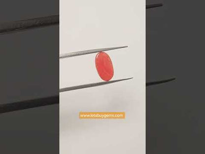 Natural Red Coral 3.10 Carat Untreated A+ Quality From Italy The Vermillion Vessel