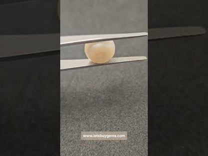 Natural Freshwater Pearl Cultured 7.30 Carats Untreated AA Quality The Imperial Dome