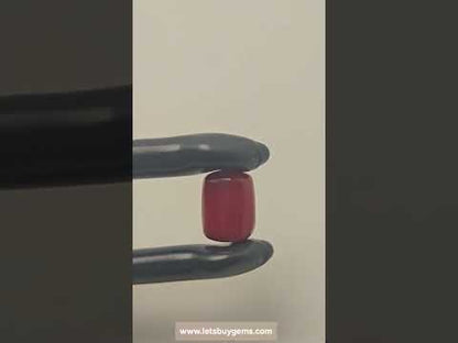 Natural Red Coral 3.23 Carat Untreated AA Quality From Italy