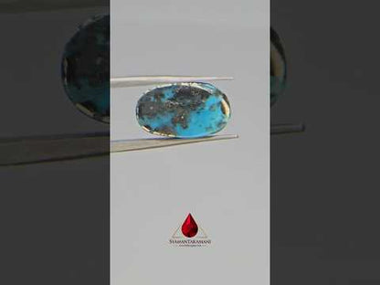 Persian Turquoise (Irani Firoza) 4.70 Carats Long Oval