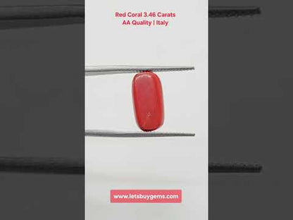 Natural Red Coral 3.46 Carat Untreated AA Quality From Italy