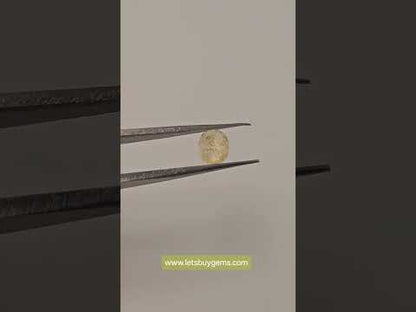 Natural Yellow Sapphire (Pukhraj) 1.60 Carat Untreated Unheated From Sri Lanka AA Grade