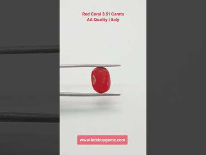 Natural Red Coral 3.51 Carat Untreated AA Quality From Italy