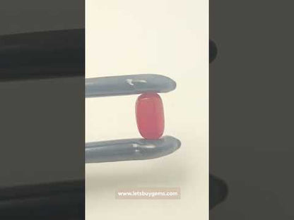 Natural Red Coral 2.91 Carat Untreated AA+ Quality From Italy