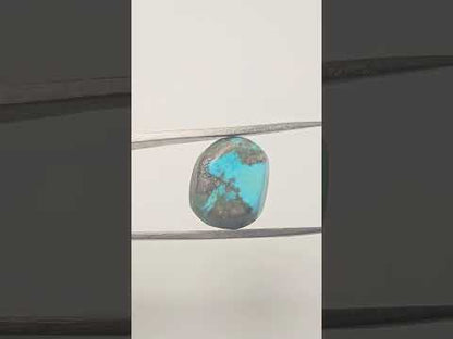 Persian Turquoise (Irani Firoza, Fyroos) 13.95 Carats Oval