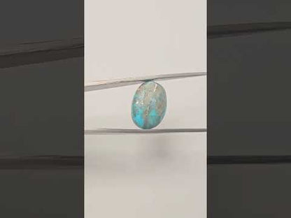 Persian Turquoise (Irani Firoza, Fyroos) 15.75 Carats Oval