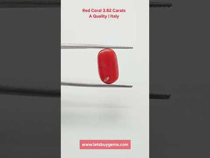 Natural Red Coral 3.82 Carat Untreated A Quality From Italy