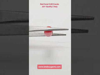 Natural Red Coral 3.83 Carat Untreated AA+ Quality From Italy