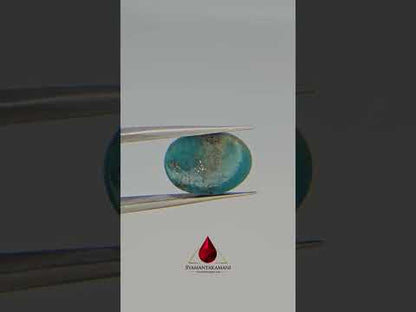 Persian Turquoise (Irani Firoza) 4.95 Carats Oval