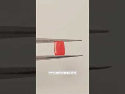 Natural Red Coral 1.20 Carat Untreated AA Quality From Italy The Scarlet Tablet