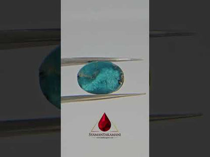 Persian Turquoise (Irani Firoza) 3.60 Carats Oval