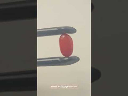 Natural Red Coral 4.22 Carat Untreated AA Quality From Italy