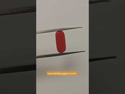 Natural Red Coral 3.00 Carat Untreated A+ Quality From Italy The Scarlet Pillar