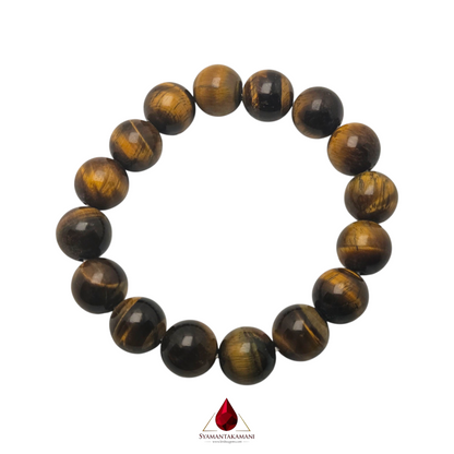 Natural Tiger's Eye 12mm Bracelet The Fierce Focus