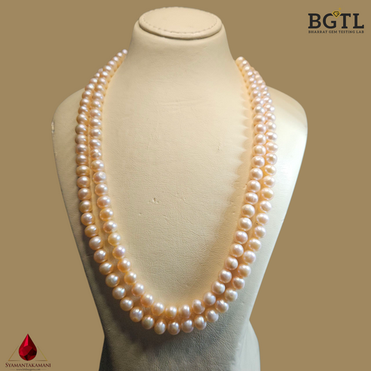 Natural Freshwater Pearl 7mm Round in 999 Silver Classy Necklace 2 Line With Certificate